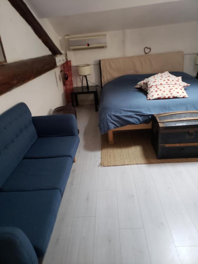 Chambre Dans Une Grande Maison Entre Canal Du Midi Et Centre Ville Безьє Екстер'єр фото